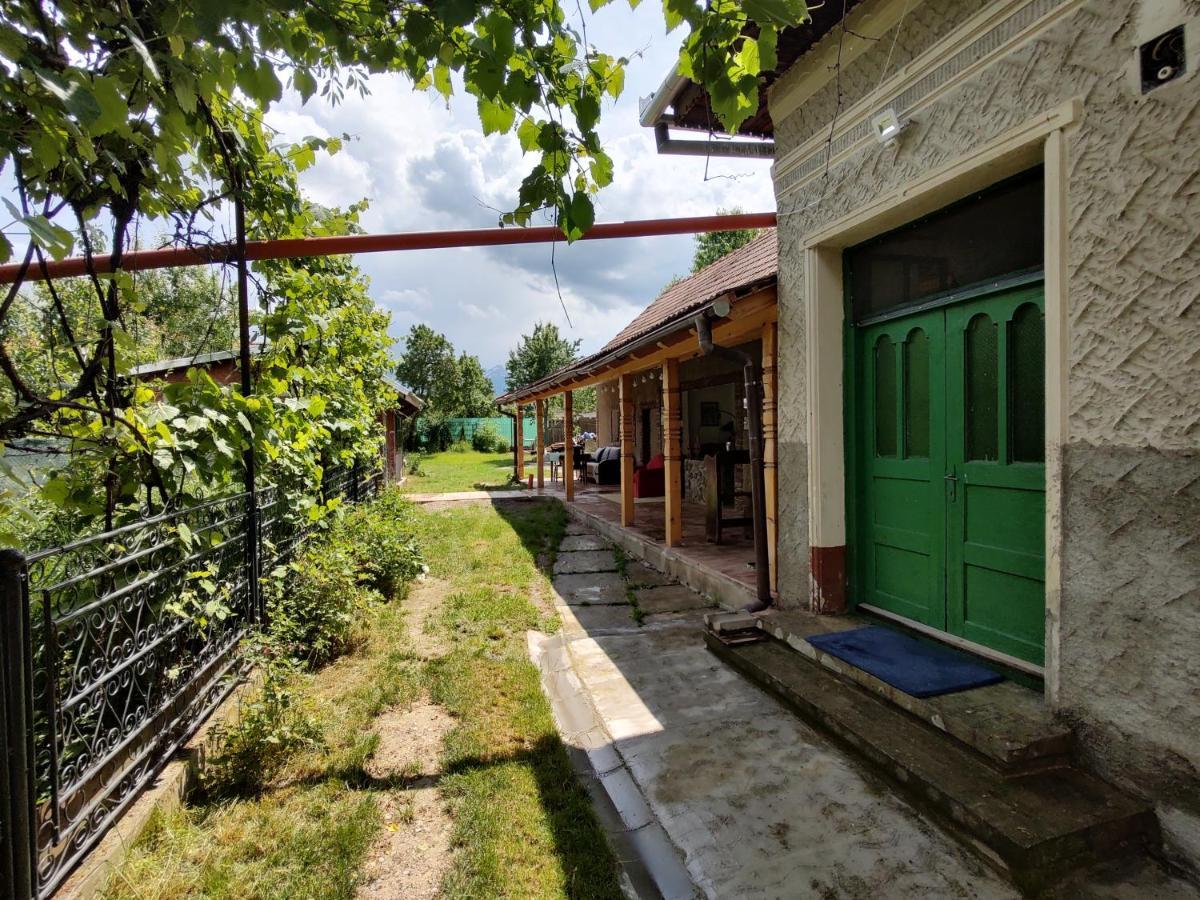 Hotel La Tataia Zahei à Dragus Extérieur photo